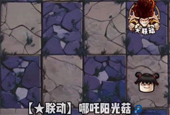 植物大战僵尸神奇植物版10