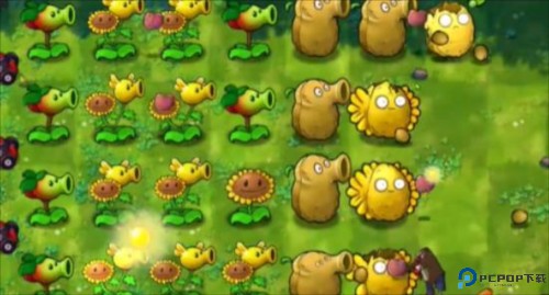 植物大战僵尸融合旅行版