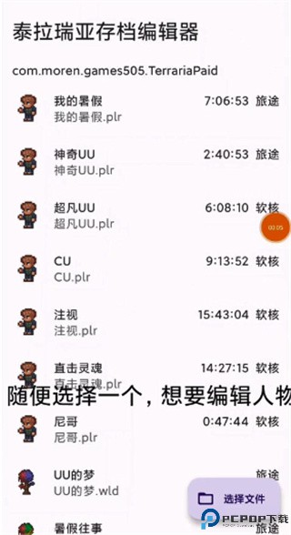 泰拉瑞亚存档编辑器