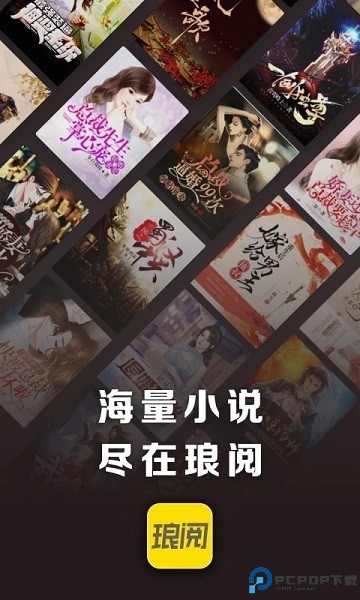 琅阅小说最新版