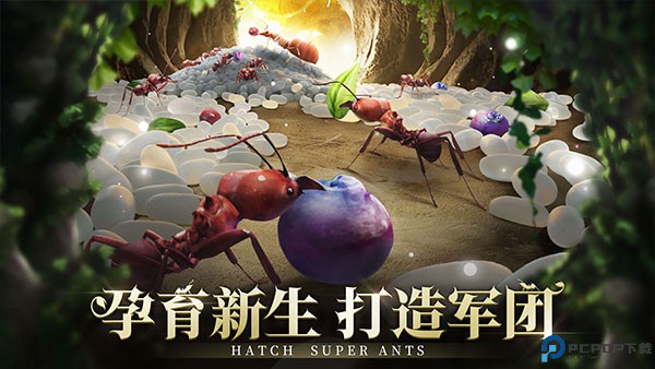 小小蚁国国际服免费下载