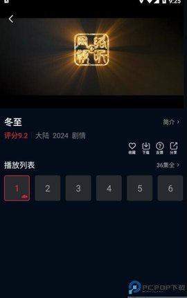 狮子影评最新版