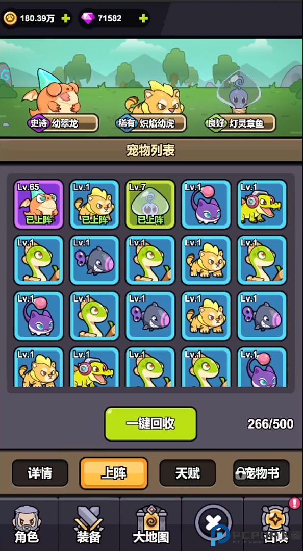 口袋猎魔人测试服