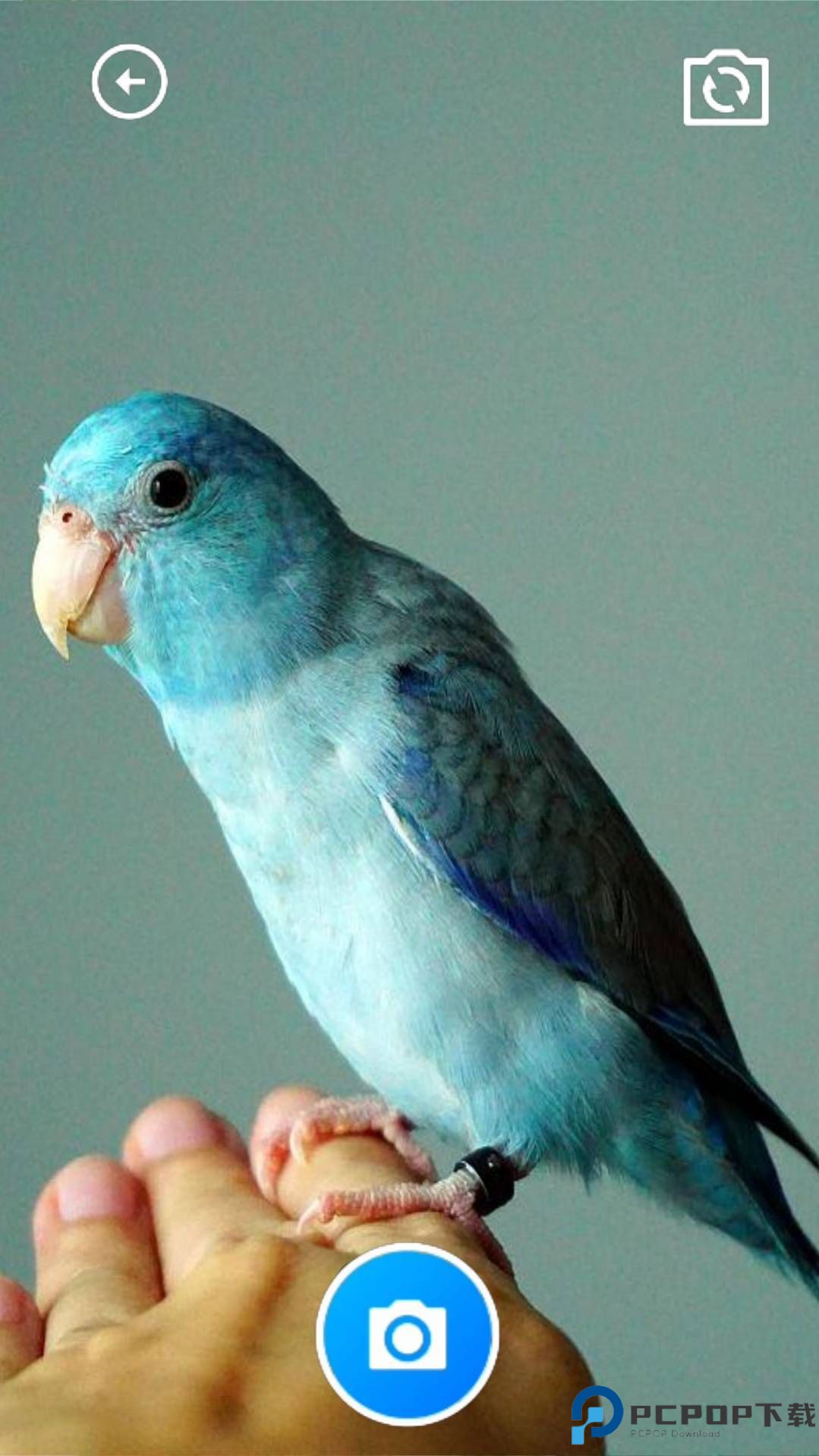 巧玲珑锦盒最新版