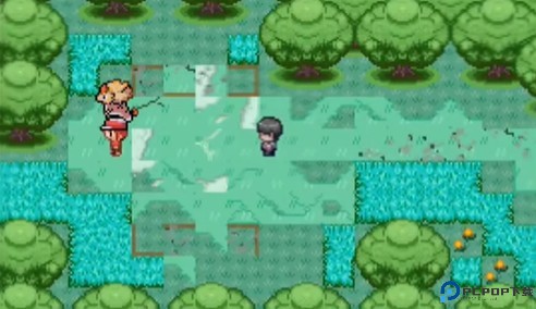 宝可梦迷之规则汉化版