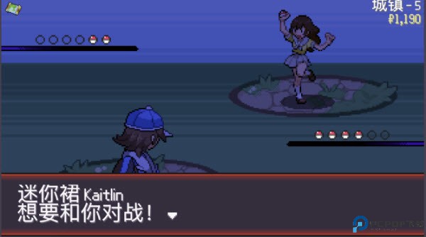 宝可梦肉鸽游戏图片10