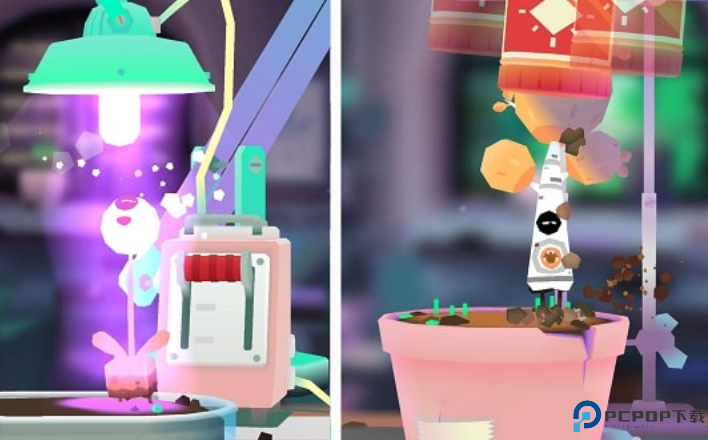 托卡实验室植物