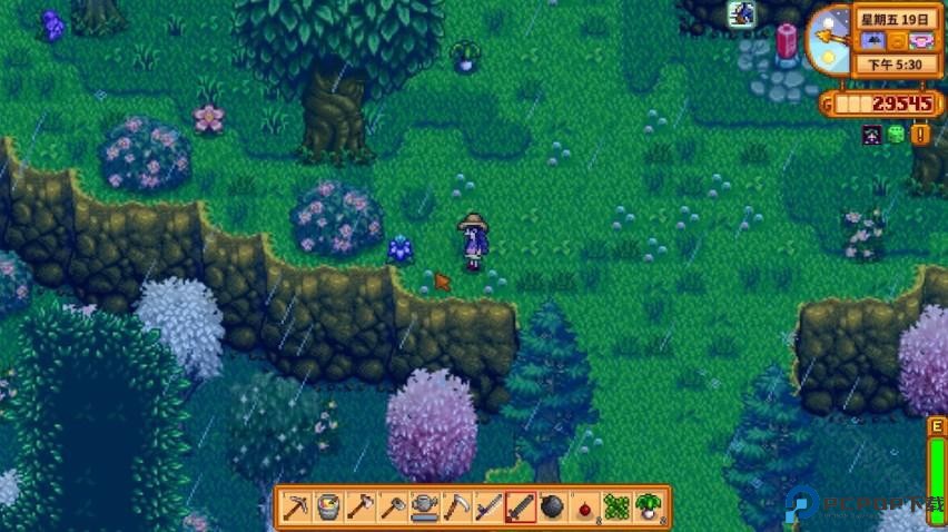 星露谷物语里奇赛德村