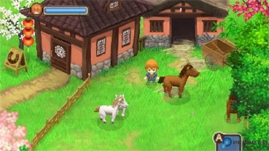 牧场物语双子村手机版