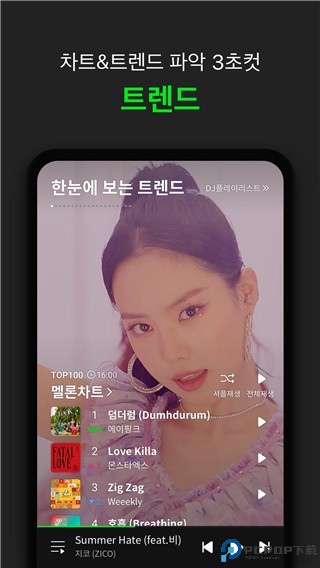 melon安卓版最新版