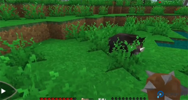 生存战争2中文版