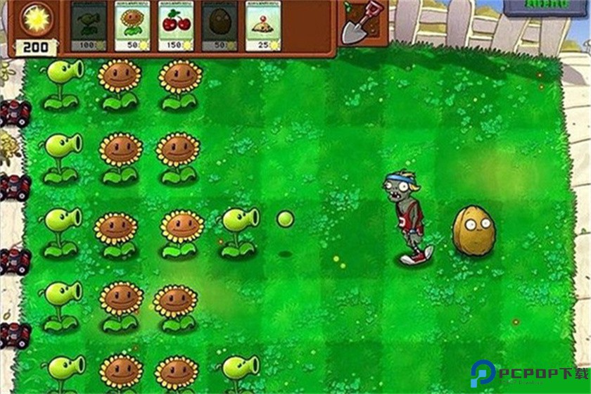 植物大战僵尸2010经典版免费下载