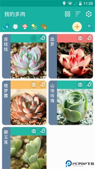 多肉成长记手机版
