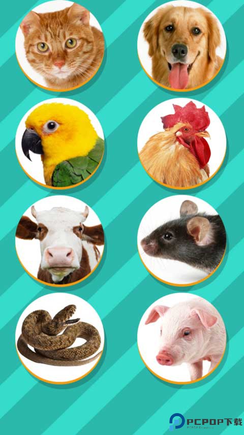 动物翻译器最新版