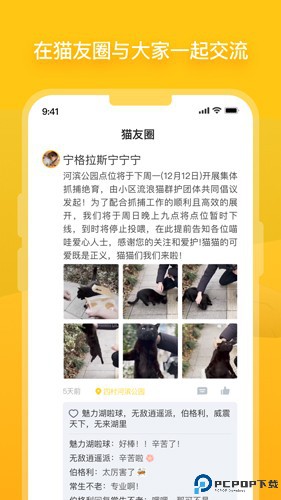 哈啰街猫最新版