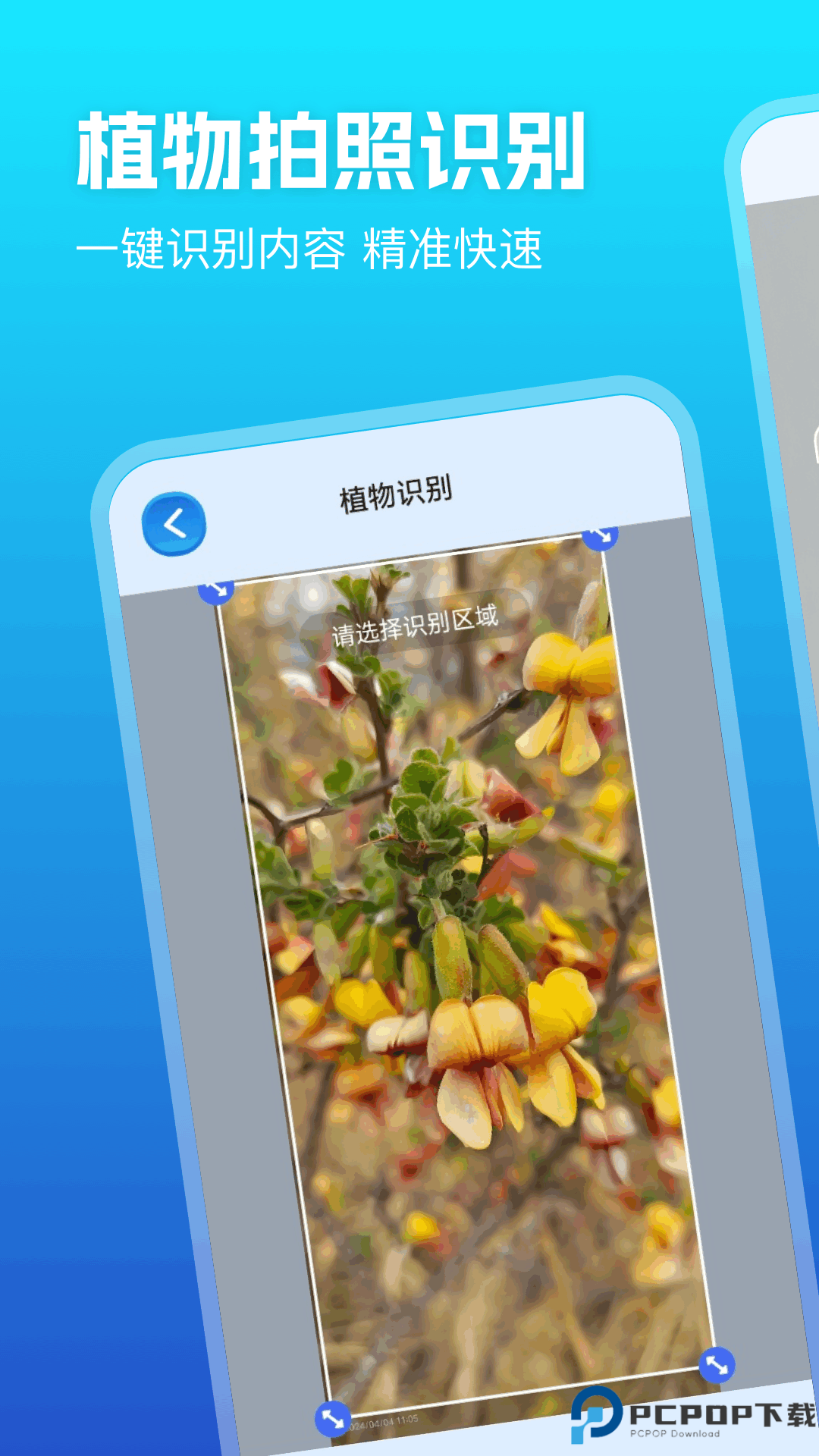 优记扫描手机版