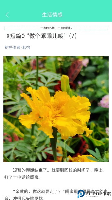 天天日历手机版