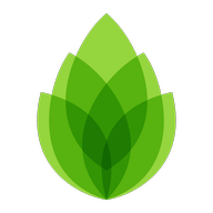 芦笋录屏手机版