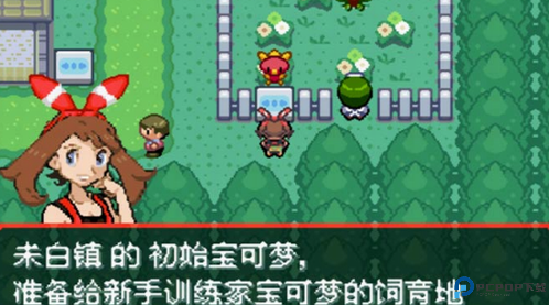 口袋妖怪究极绿宝石中文版