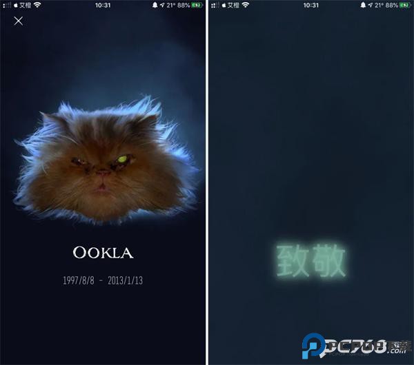 ookla speedtest中文版