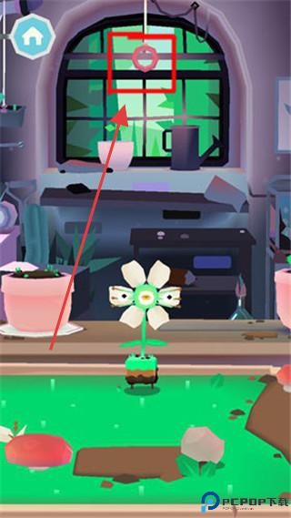 托卡实验室植物