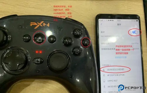 小鸡模拟器官方正版