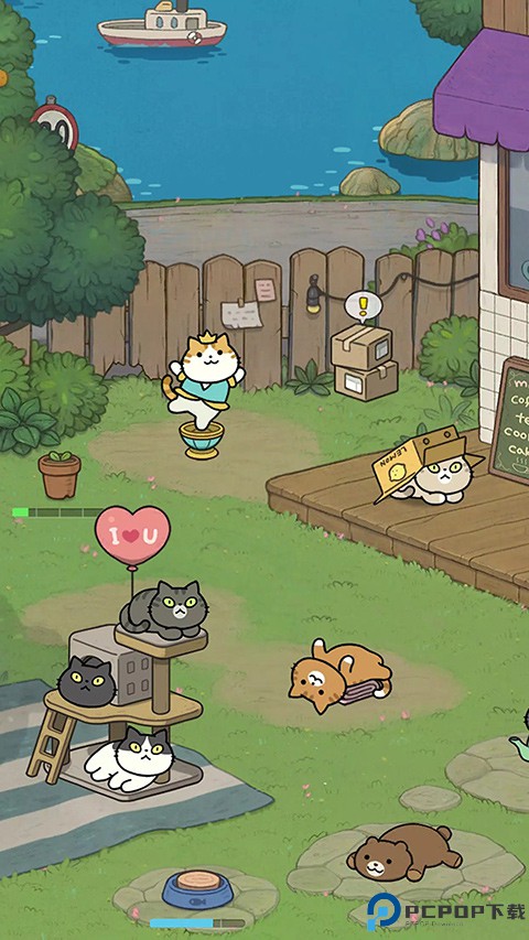 神秘猫咪字典中文版免费下载