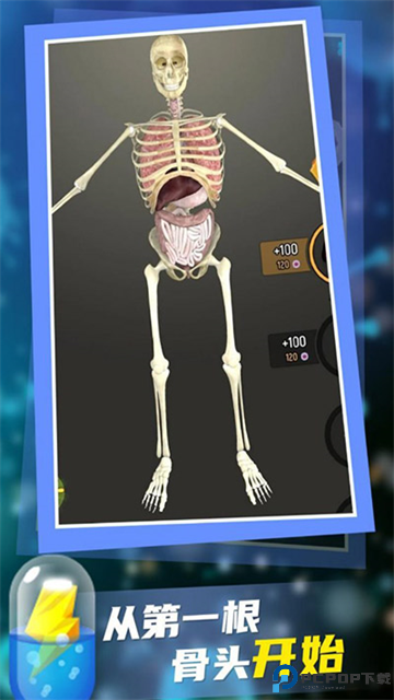 放置人类中文版免费下载