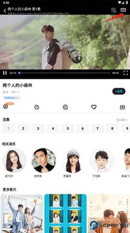 风筝影评免费追剧最新版