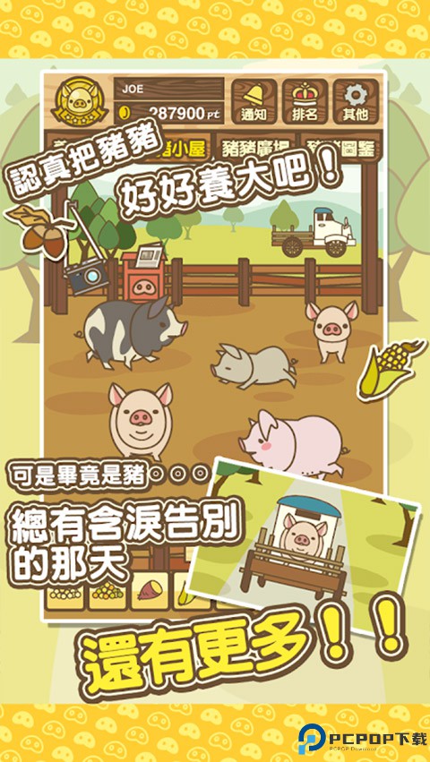 养猪场mix免费下载