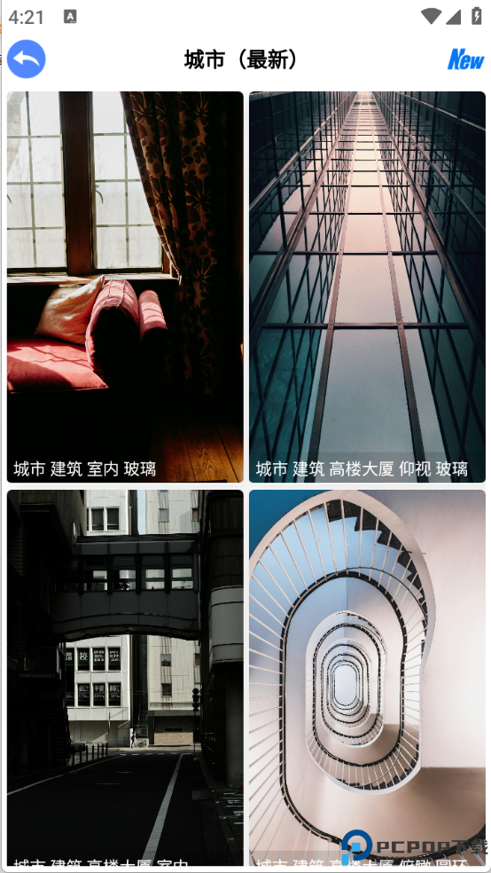 波奇壁纸免费下载