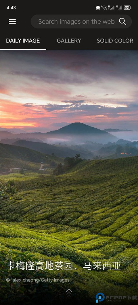 必应壁纸免费下载