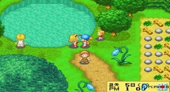 牧场物语精灵驿站中文版