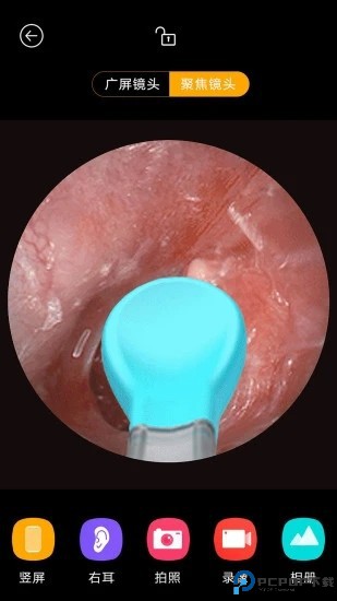 蜂鸟采耳app最新版