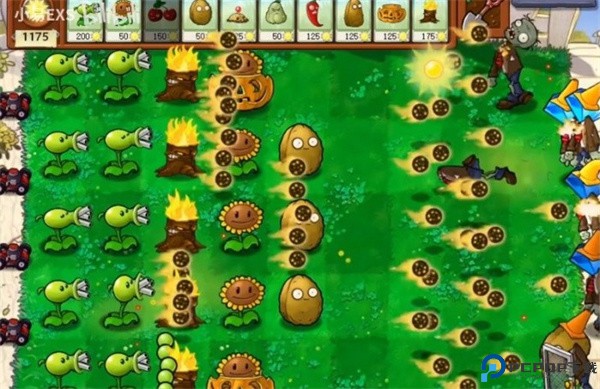 植物大战僵尸CL版本免费下载