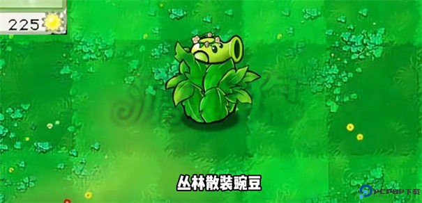 植物大战僵尸杂交版3.1