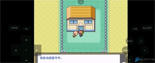 口袋妖怪燃之智汉化版25