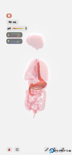 生命人体模拟器life汉化版免费下载