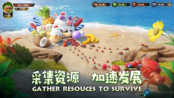 小小蚁国国际服免费下载