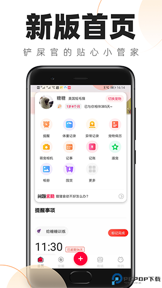 铲屎官的日常最新版