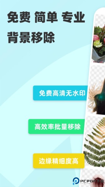 椰子背景手机版