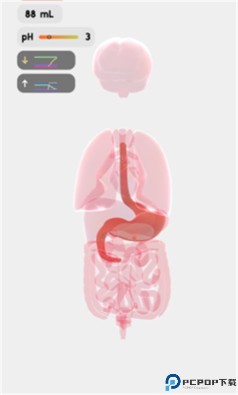 人体细胞模拟器手游最新版