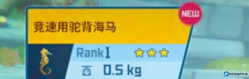 获得抓海马的工具1