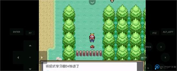 口袋妖怪燃之智汉化版23