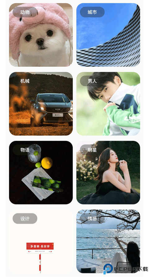 彩虹猫Pro最新版