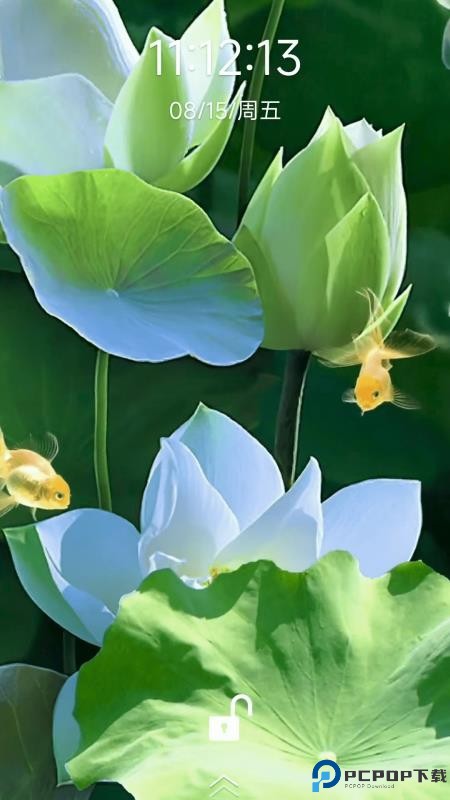 荷花锦鲤壁纸手机版