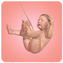 人类进化史小游戏手游最新版