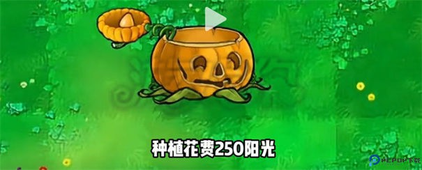 植物大战僵尸杂交版3.1