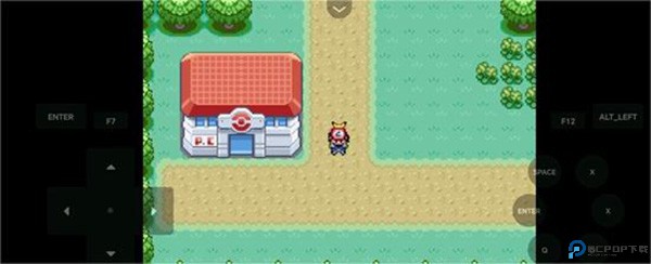 口袋妖怪燃之智汉化版27