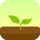 Forest官方正版最新版